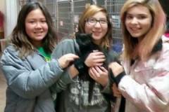 Mesabi Humane Society