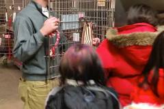 Mesabi Humane Society
