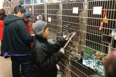 Mesabi Humane Society