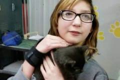 Mesabi Humane Society