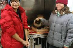 Mesabi Humane Society