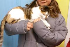 Mesabi Humane Society