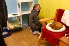 Mesabi Humane Society