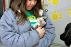 Mesabi Humane Society
