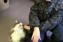 Mesabi Humane Society